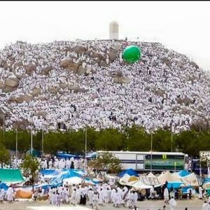 Meet your Posher, Zeyneba